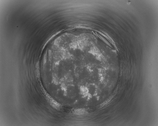 X0000082740798200702161932