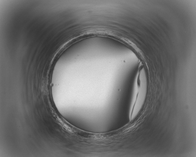 X0000082740799200702161932