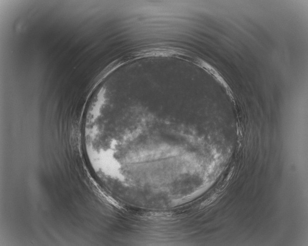 X0000082740802200702161931