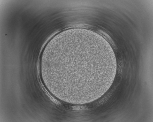 X0000082740804200702161931