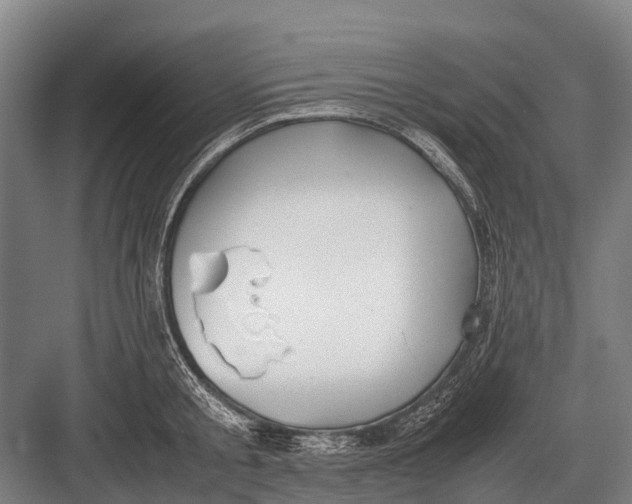 X0000082740805200702161931