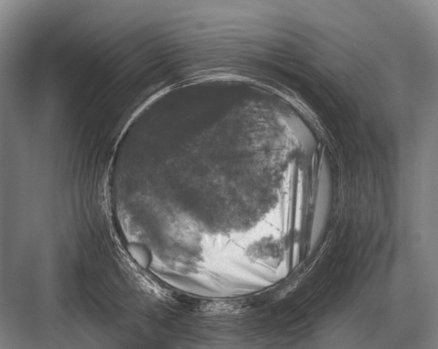 X0000082740806200702161931