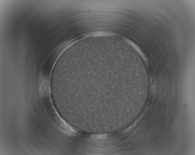 X0000082740810200702161931