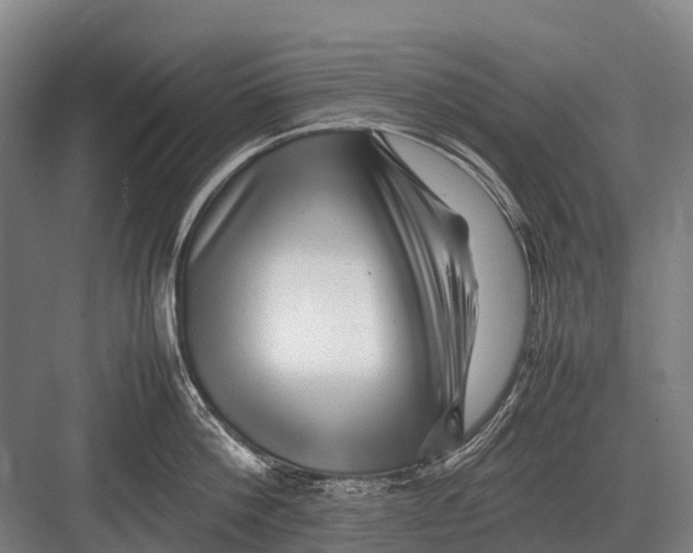 X0000082740812200702161931