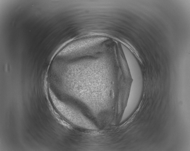 X0000082740814200702161931