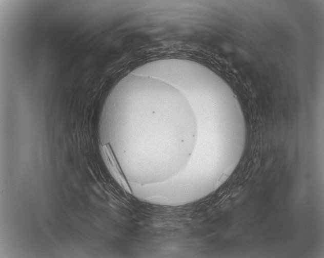 X0000082740820200702161930