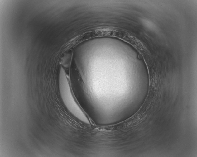 X0000082740821200702161930