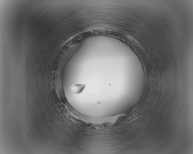 X0000082740822200702161931