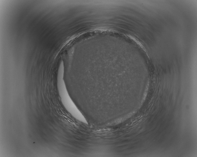 X0000082740823200702161931