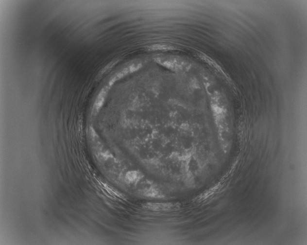 X0000082740825200702161931