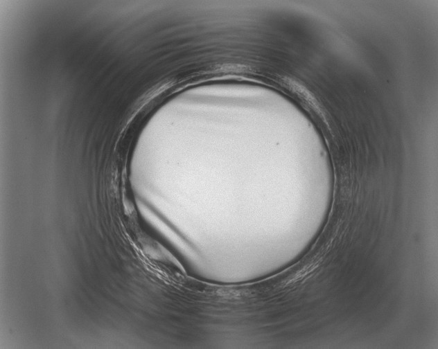 X0000082740827200702161931