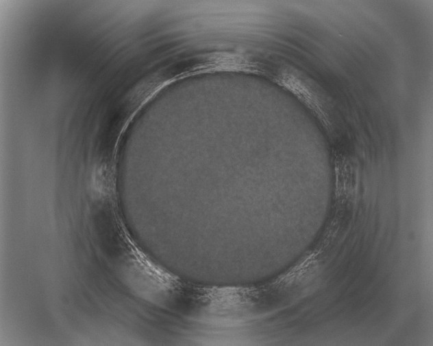 X0000082740828200702161931