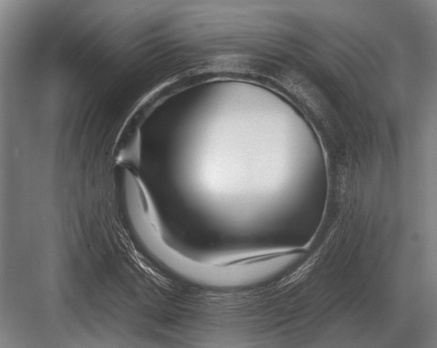 X0000082740830200702161931