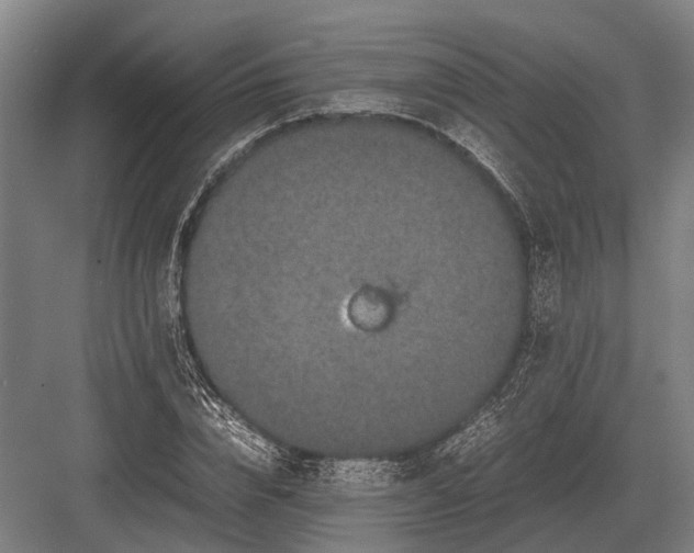 X0000082740832200702161931