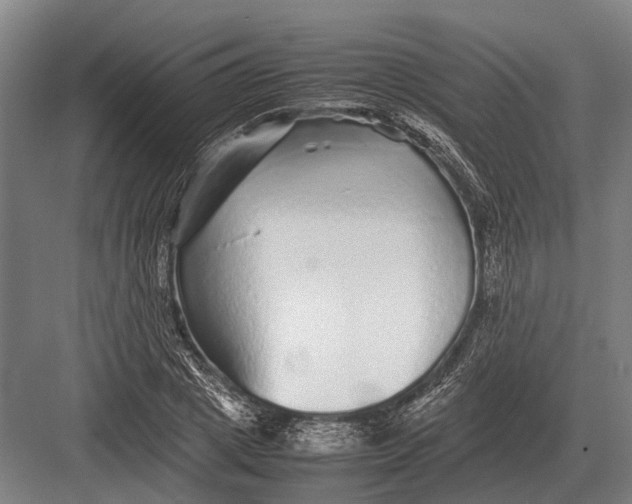 X0000082740833200702161931