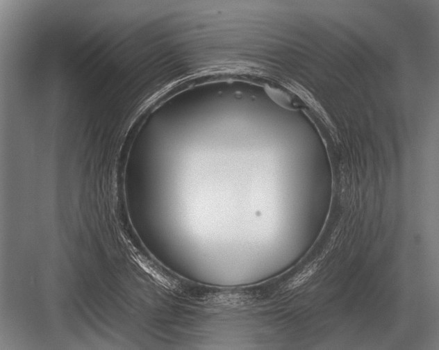 X0000082740834200702161931