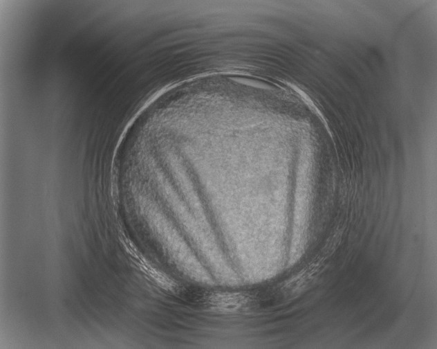 X0000082740835200702161931