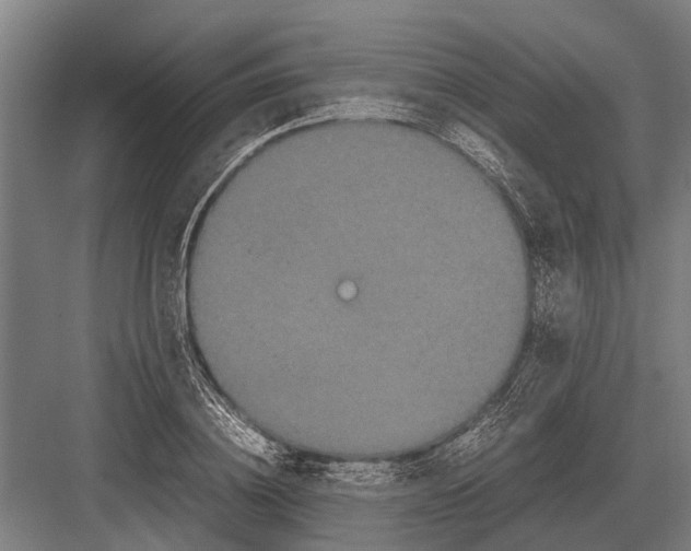 X0000082740836200702161931