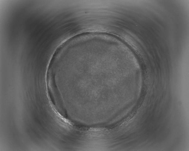 X0000082740840200702161931