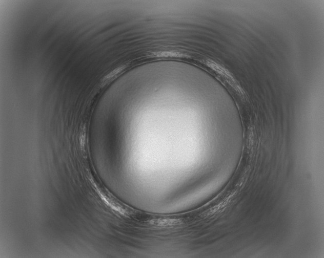 X0000082740841200702161931