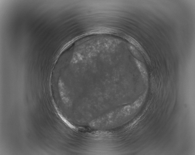 X0000082740842200702161931