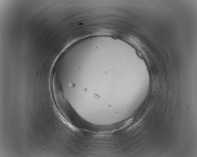 X0000082740843200702161931