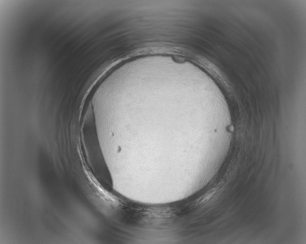 X0000082740844200702161931