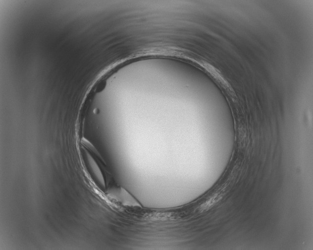 X0000082740846200702161931