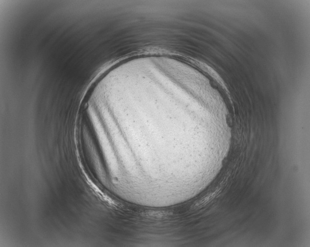 X0000082740847200702161931