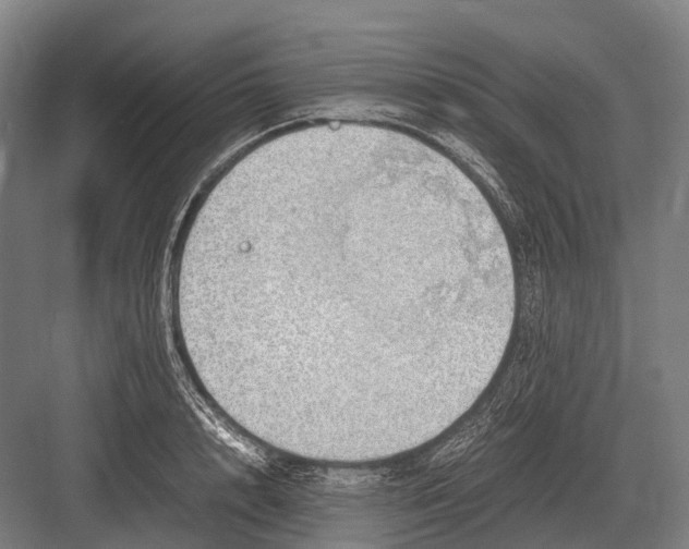 X0000082740848200702161931