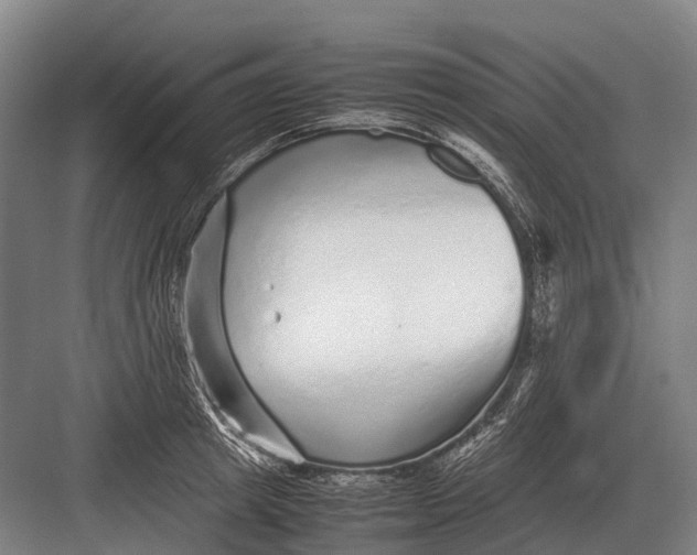 X0000082740849200702161931