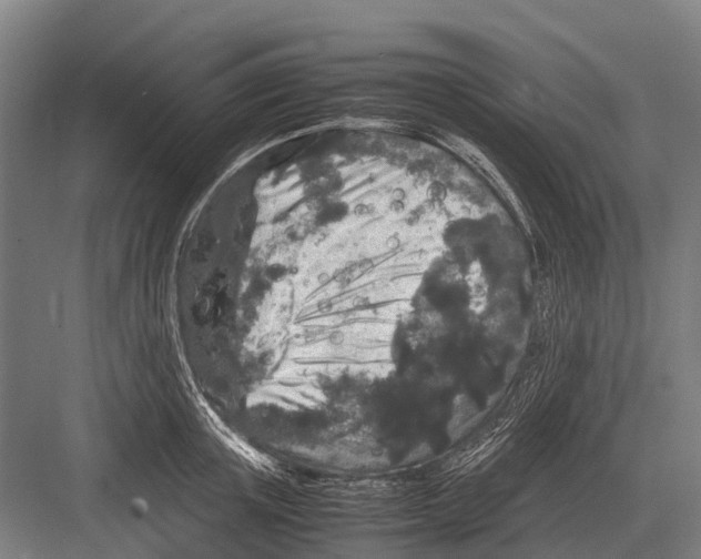 X0000082740851200702161931