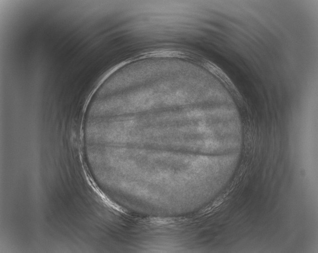 X0000082740852200702161931