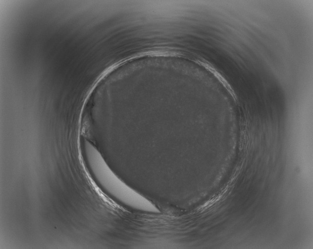 X0000082740853200702161931