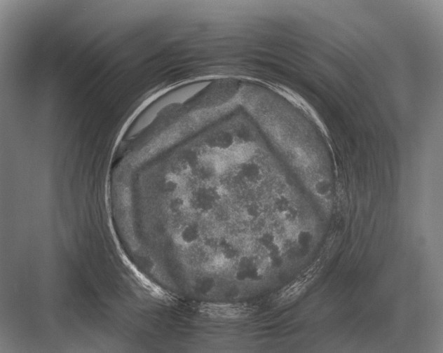 X0000082740855200702161931