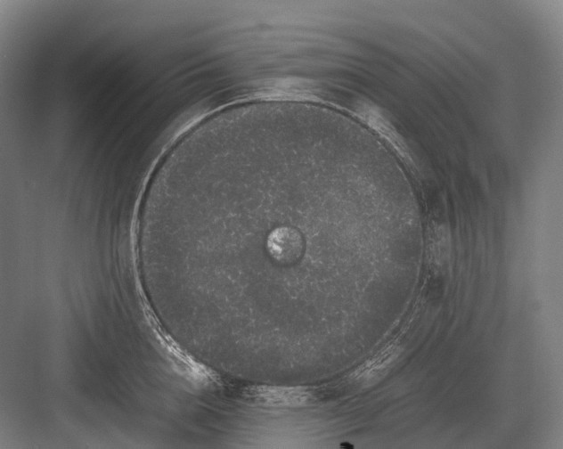 X0000082740856200702161931