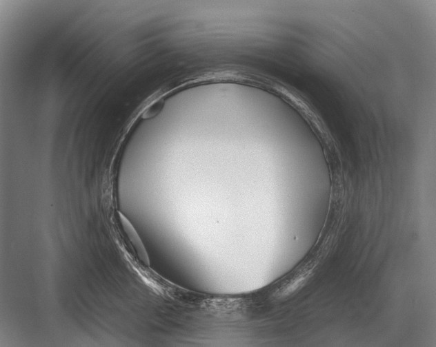 X0000082740858200702161931