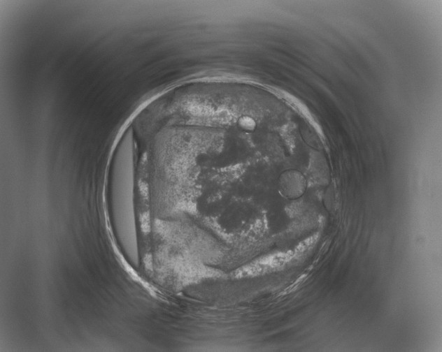 X0000082740863200702161931