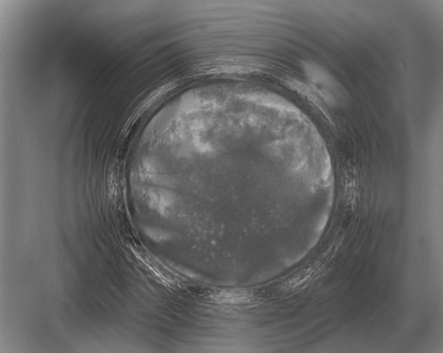 X0000082740874200702161930