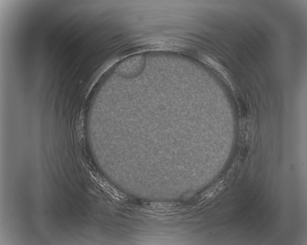 X0000082740875200702161930