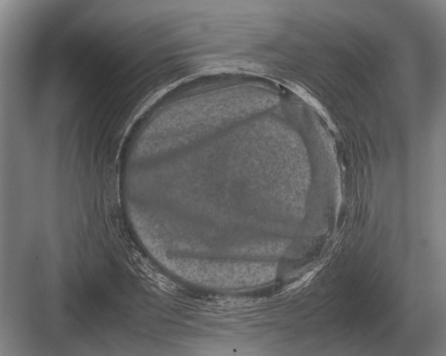 X0000082740877200702161930