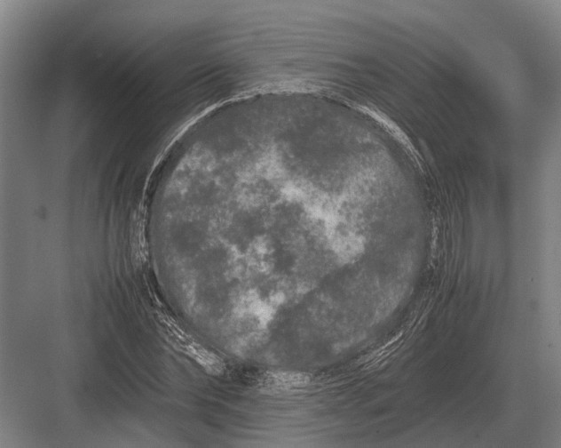 X0000082740878200702161930