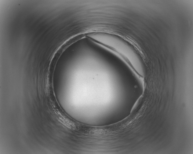 X0000082740880200702161930