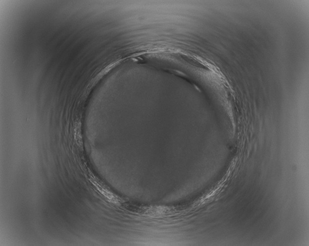 X0000082740881200702161930