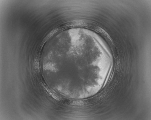 X0000082740882200702161930