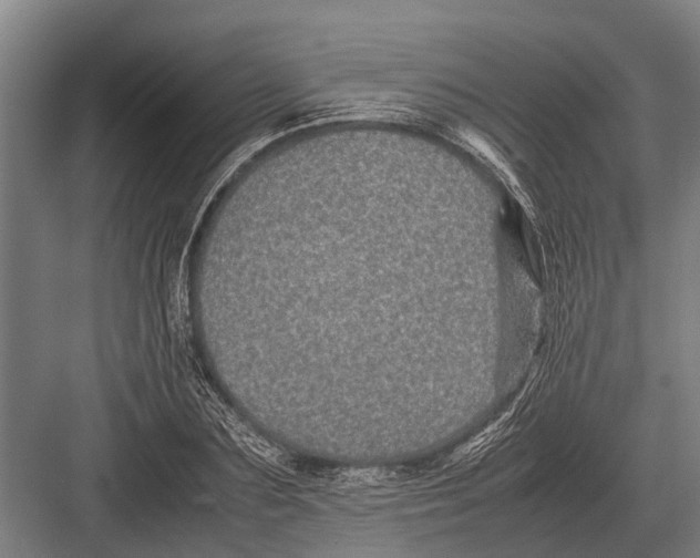 X0000082740883200702161930