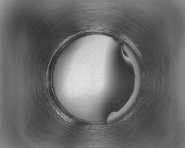 X0000082740884200702161930