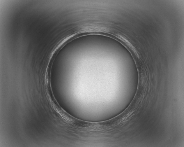 X0000082740885200702161930