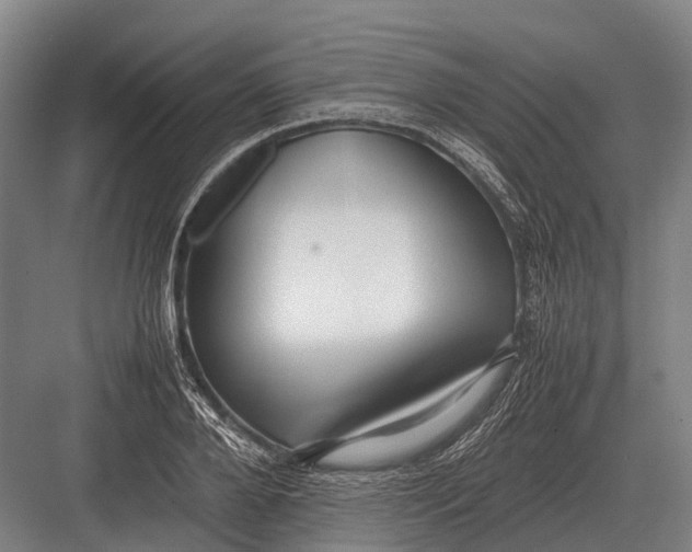 X0000082740888200702161930