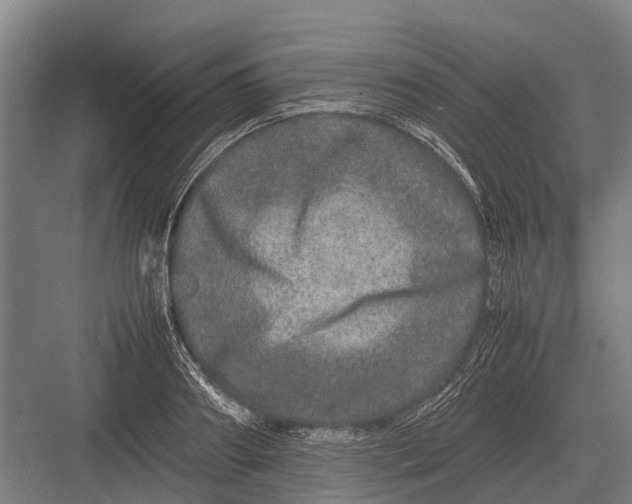 X0000082740890200702161930